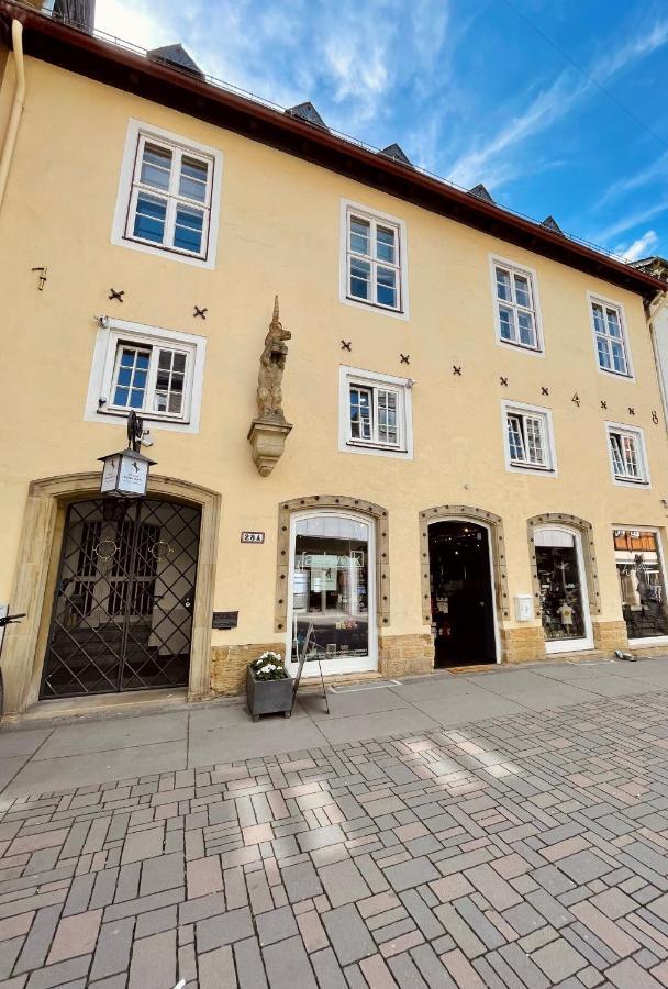 Villa Einhorn: Ruhe Oase Mitten Im Zentrum Goslar Exterior foto